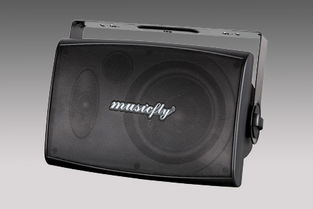 专业音响设备一站式采购指南 为何广州番禺桥南街豪杰音响厂是您的理想之选